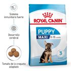 Royal Canin Puppy Maxi ração para cães, , large image number null