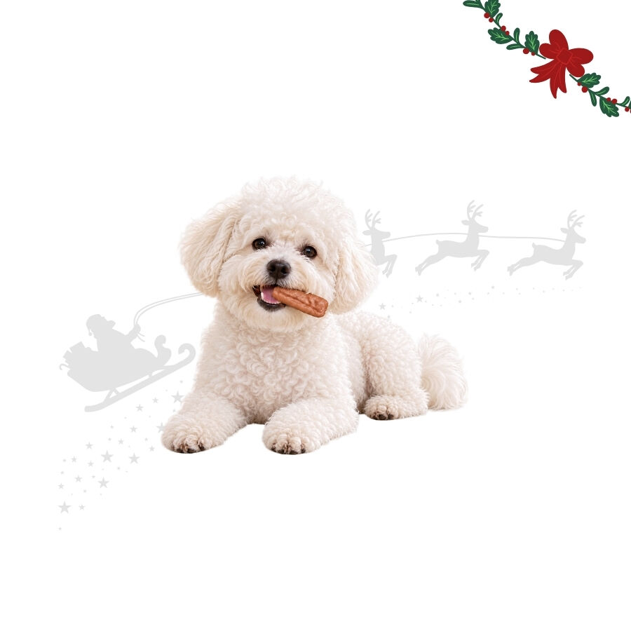 1 pacote Wonder Christmas Salsichas de Frango Snacks para C&atilde;es, , large Imagem n&uacute;mero 1