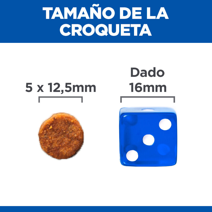 Hill's Science Plan Culinary Creations Pato e Batata ra&ccedil;&atilde;o para c&atilde;es m&eacute;dios., , large Imagem n&uacute;mero 4