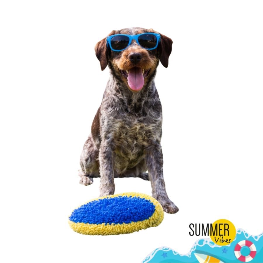 Summer Vibes Plush Ring Brinquedo para c&atilde;es, , large Imagem n&uacute;mero 7