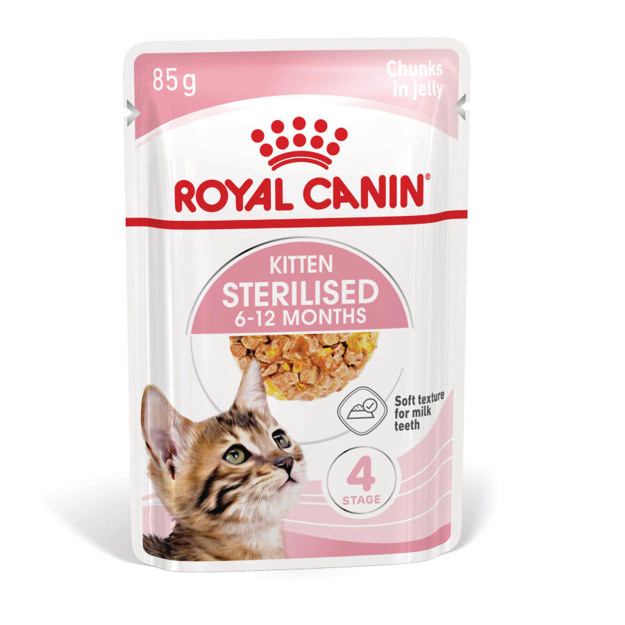 12 saquetas x 85 g Royal Canin Kitten Sterilised Saquetas de Gelatina para gatinhos Pack poupan&ccedil;a!, , large Imagem n&uacute;mero 2