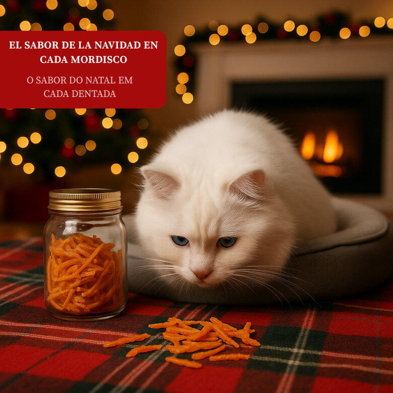 50 g Wonder Christmas Snack de Natal para gatos,  Imagem número 4 50 g Wonder Christmas Snack de Natal para gatos, , large Imagem número 4