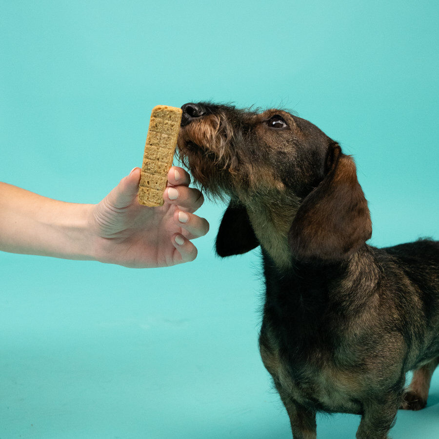 75 g Edgard y Cooper Tiras de Frango para c&atilde;es, , large Imagem n&uacute;mero 4