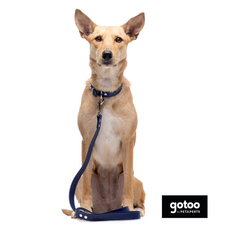 Gotoo Trela Biothane azul para cães,  Imagem número 3 Gotoo Trela Biothane azul para cães, , large Imagem número 3
