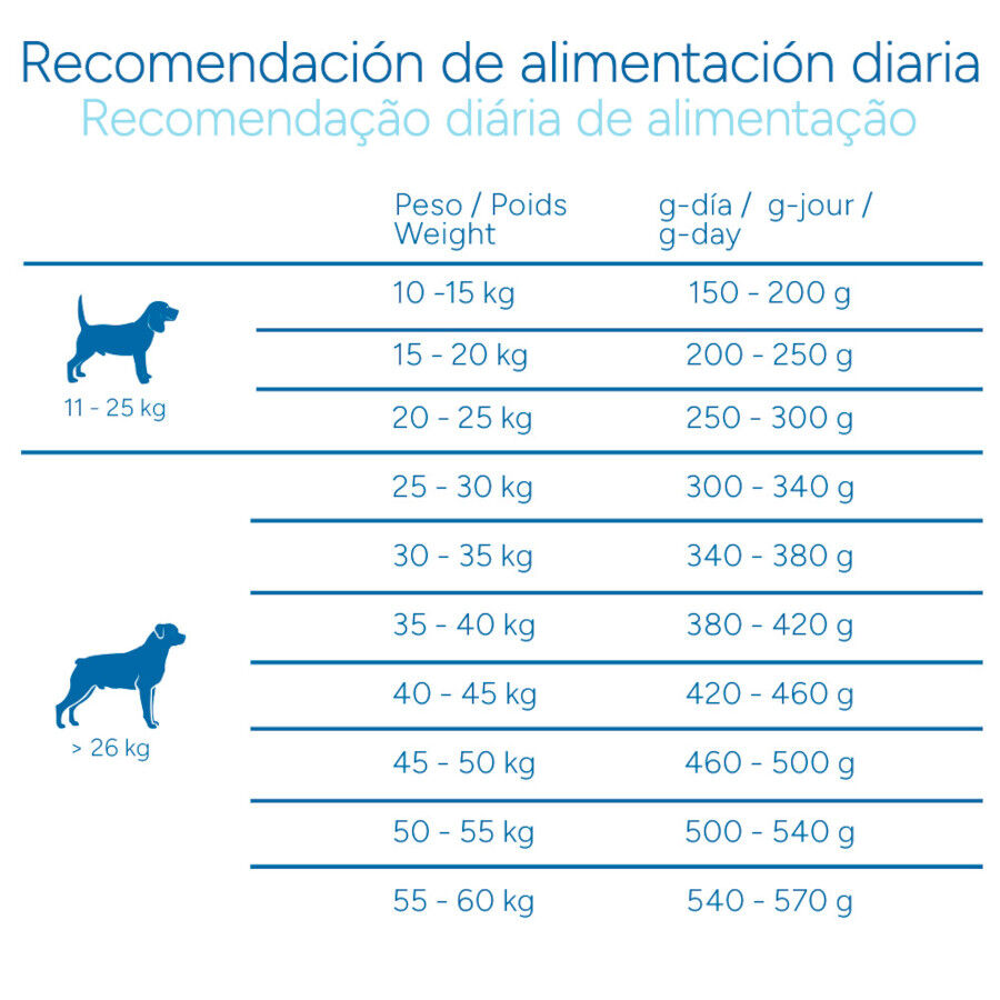 Criadores Cient&iacute;fico Senior Sensitive Medium-Maxi Ra&ccedil;&atilde;o de salm&atilde;o para c&atilde;es, , large Imagem n&uacute;mero 9