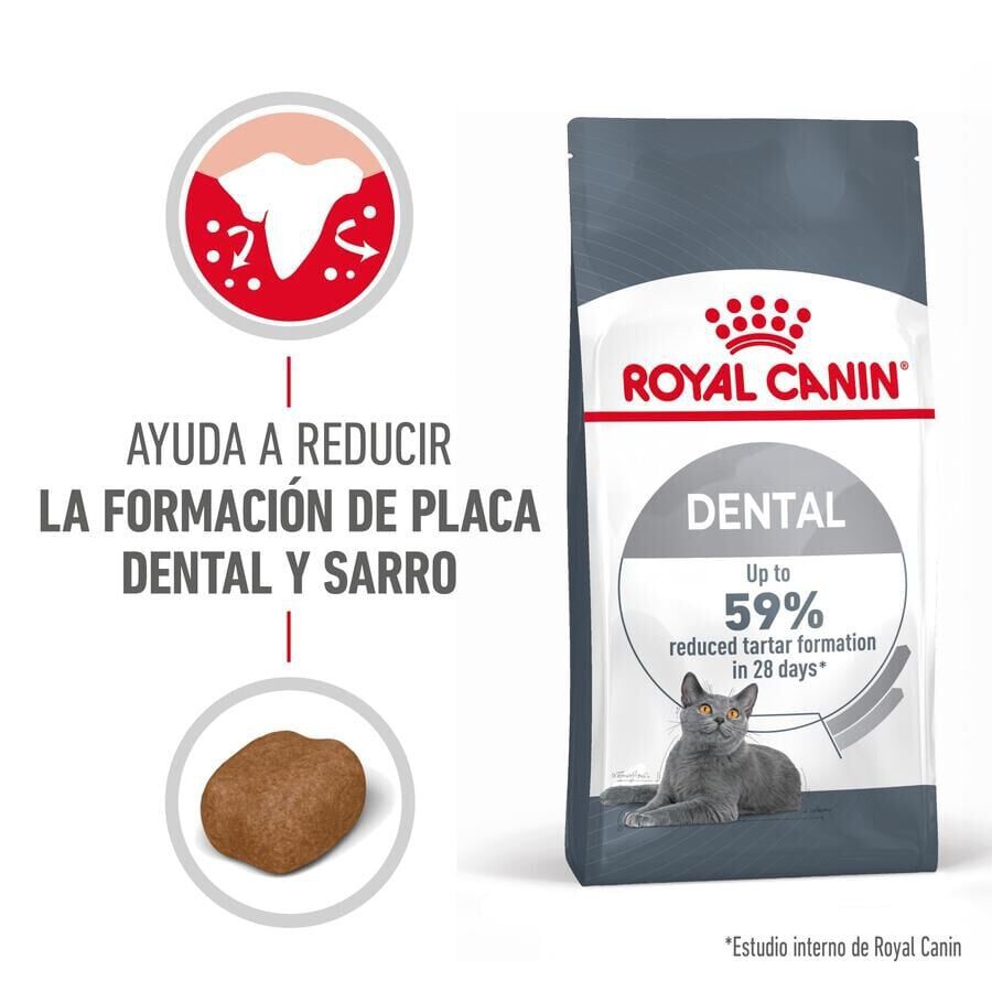 8 kg Royal Canin Adult Oral ra&ccedil;&atilde;o para gatos, , large Imagem n&uacute;mero 2