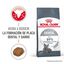 8 kg Royal Canin Adult Oral ração para gatos, , large Indicador imagem número 2