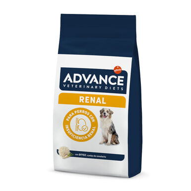 Advance Veterinary Diets Renal ração para cães