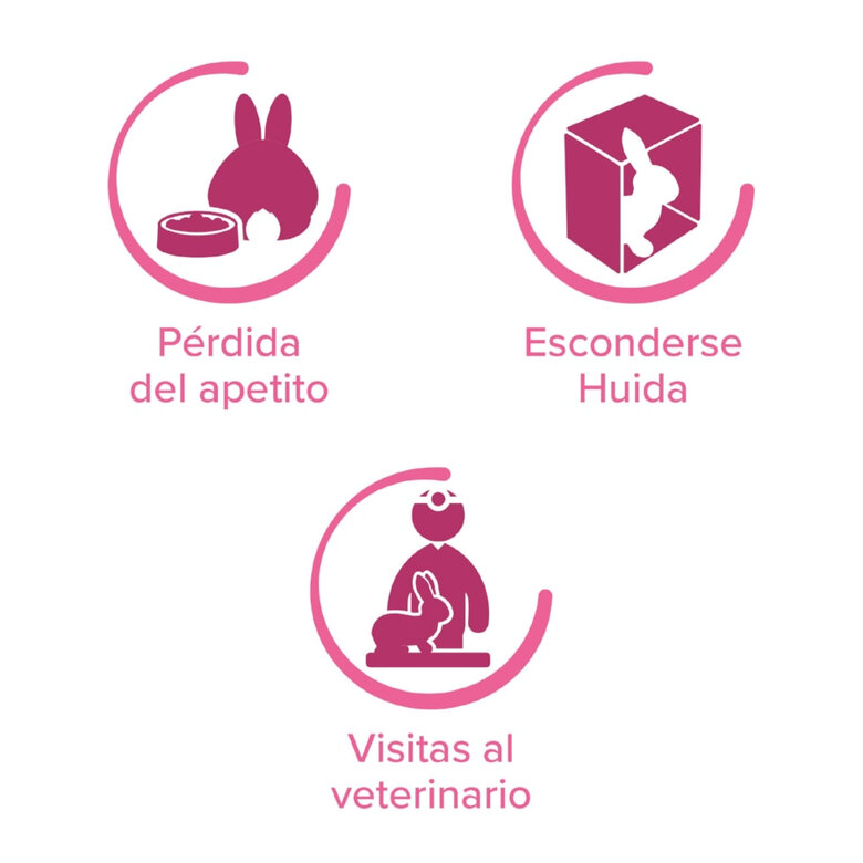 Beaphar Rabbitcomfort Spray tranquilizante para coelhos, , large image number null