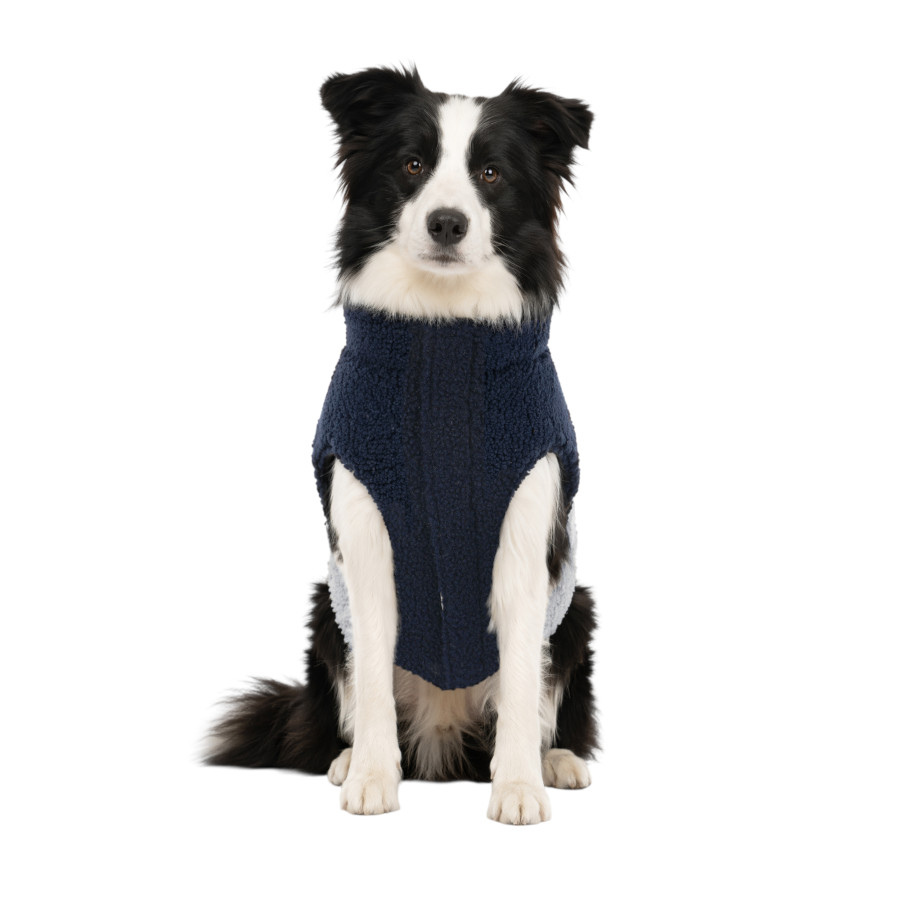 Gotoo Casaco Azul e Cinzento para c&atilde;es, , large Imagem n&uacute;mero 7