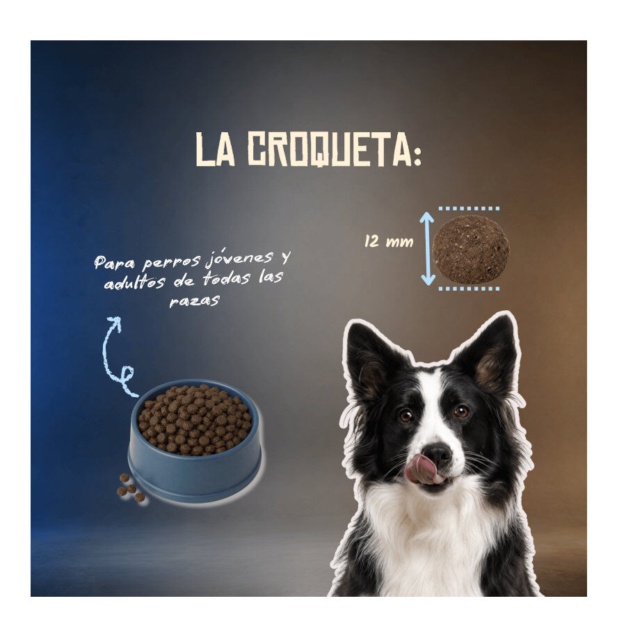 10 kg Lenda Grain Free Ra&ccedil;&atilde;o de Peixe e Krill para c&atilde;es, , large Imagem n&uacute;mero 6