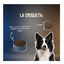 10 kg Lenda Grain Free Ra&ccedil;&atilde;o de Peixe e Krill para c&atilde;es, , large Indicador imagem n&uacute;mero 6