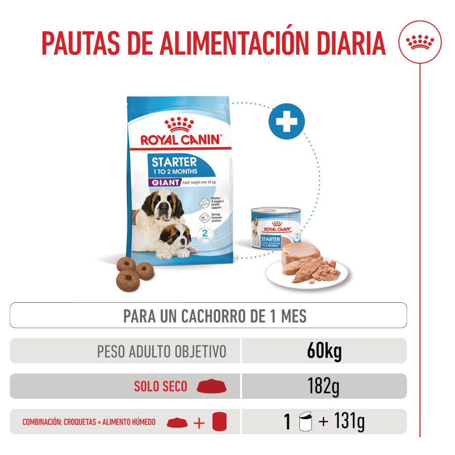 15 kg Royal Canin Starter Puppy Giant Ra&ccedil;&atilde;o para cachorro, , large Imagem n&uacute;mero 8