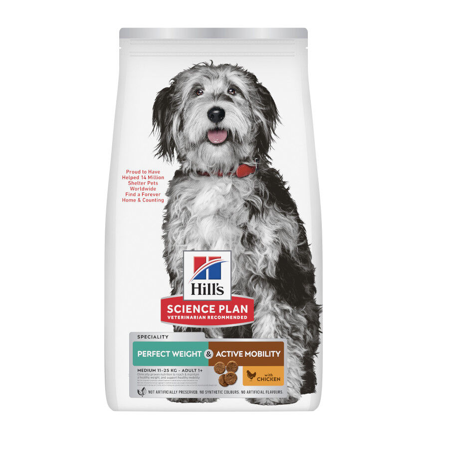 Hill's Science Plan Perfect Weight e Active Mobility Medium Frango ra&ccedil;&atilde;o para c&atilde;es, , large Imagem n&uacute;mero 1