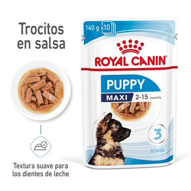 Royal Canin H&uacute;mido Maxi Puppy 140 g