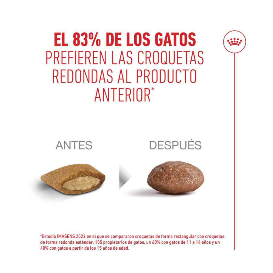 2 kg Royal Canin Ageing 11+ Sterilised ra&ccedil;&atilde;o para gatos, , large Imagem n&uacute;mero 11
