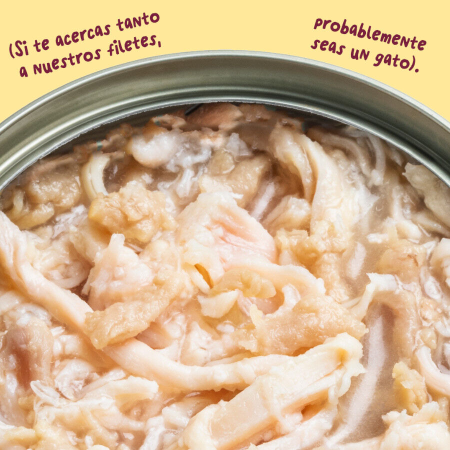 70 g Edgard & Cooper Filetes de Pollo y Pavo Lata para gatos, , large Imagem n&uacute;mero 5
