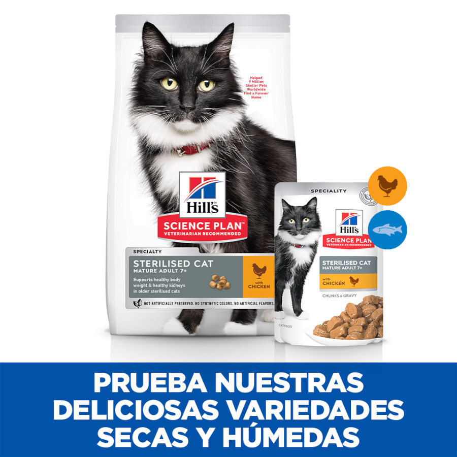 12 saquetas x 85 g Hill's Science Plan Sterilised Mature Frango saqueta de molho para gatos, , large Imagem n&uacute;mero 4