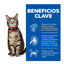 24 saquetas x 85 g Hill's Science Plan Adult Frango, Peixe Azul e Carne em Molho para Gatos Pack poupan&ccedil;a!, , large Indicador imagem n&uacute;mero 3