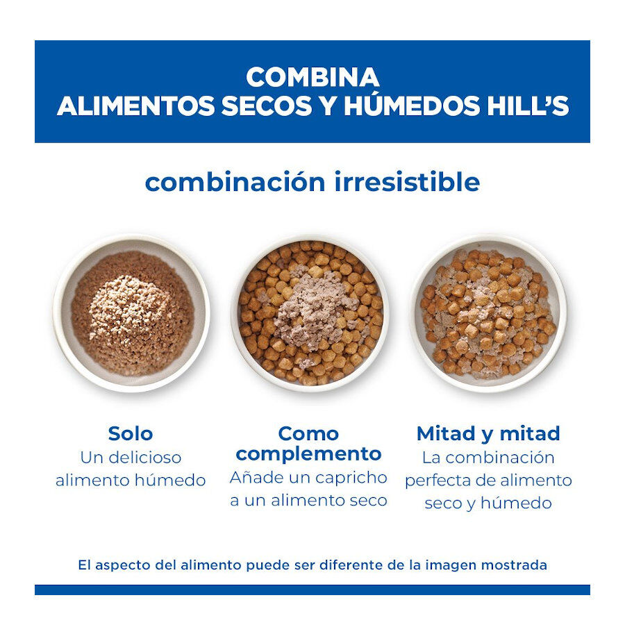 370 g Hill's Science Plan Puppy Beef P&acirc;t&eacute; enlatado para c&atilde;es, , large Imagem n&uacute;mero 6