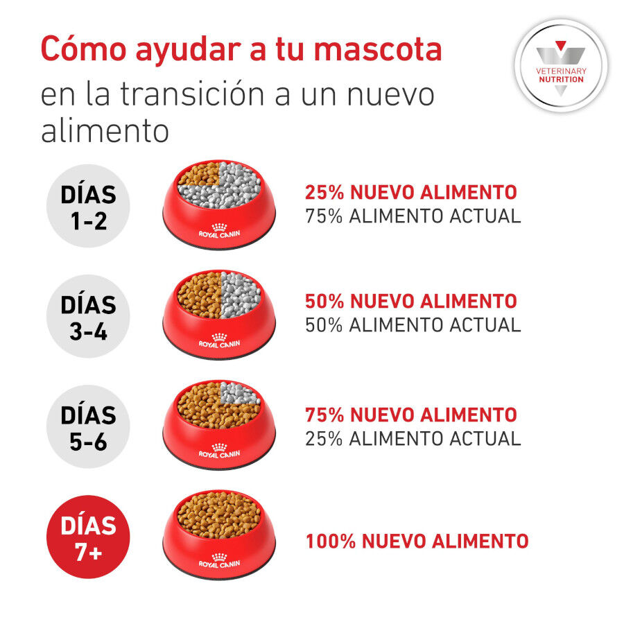 12 kg Royal Canin Veterinary Diabetic ra&ccedil;&atilde;o para c&atilde;es , , large Imagem n&uacute;mero 8