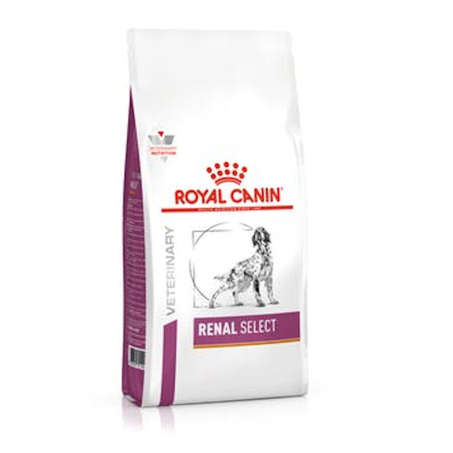 10 kg Royal Canin Renal Select ra&ccedil;&atilde;o para c&atilde;es, , large Imagem n&uacute;mero 1