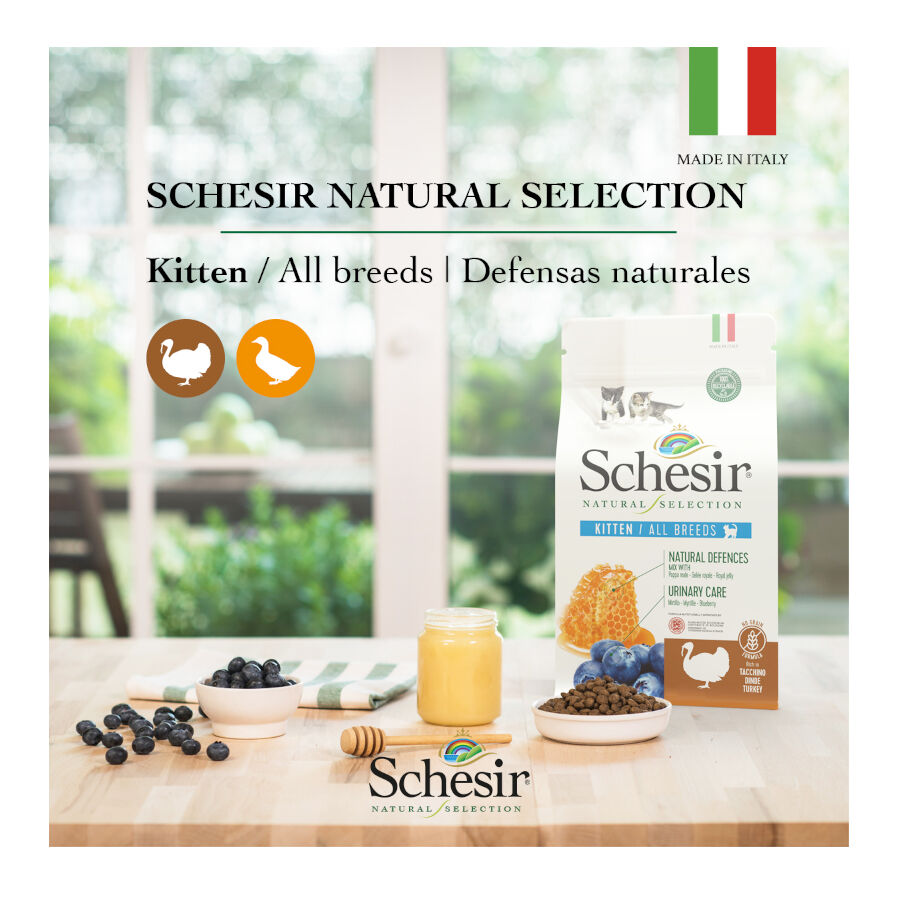 1.4 kg Schesir Kitten Natural Selection Peru ra&ccedil;&atilde;o , , large Imagem n&uacute;mero 4