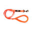 Gloria Air Mesh Trek Star Trela Laranja para cães, , large Indicador imagem número 1