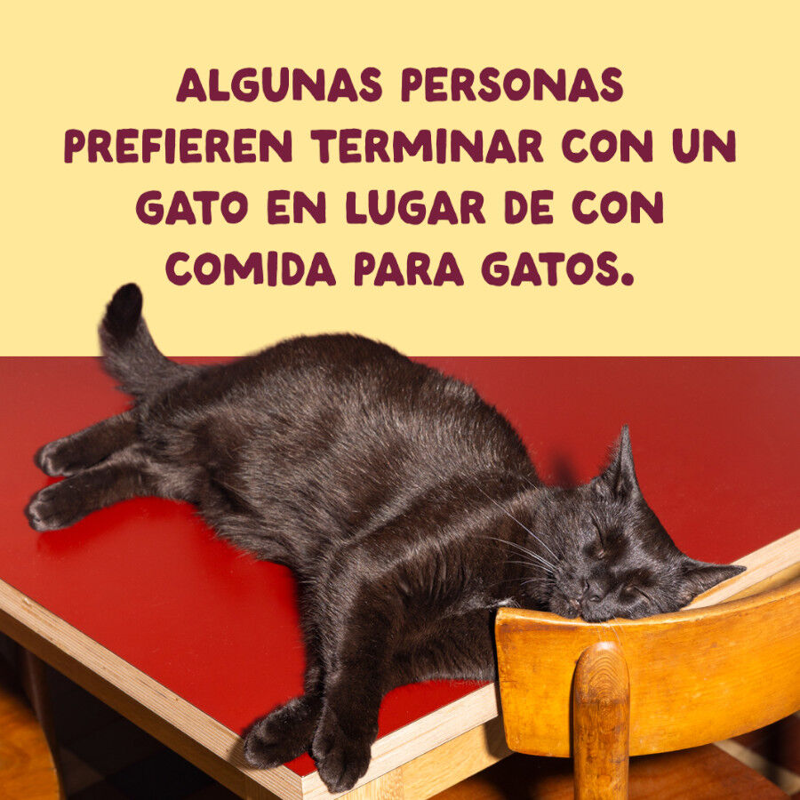 70 g Edgard & Cooper Filetes de Pollo y Pavo Lata para gatos, , large Imagem n&uacute;mero 9