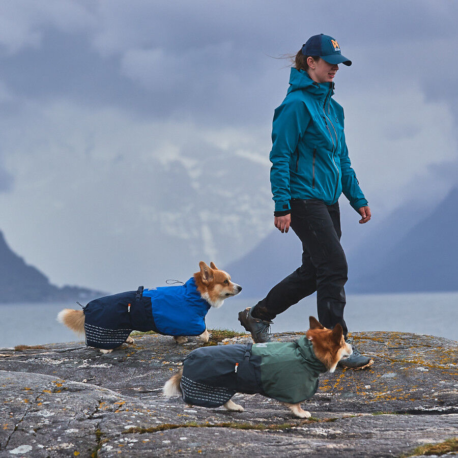 Non-stop dogwear Fjord Capa de chuva imperme&aacute;vel preta para c&atilde;es, , large Imagem n&uacute;mero 11