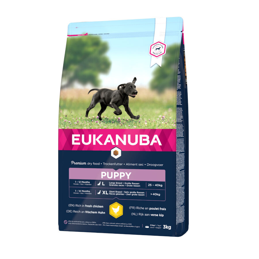 3 kg Eukanuba Puppy Large Breed Frango ra&ccedil;ao para c&atilde;es, , large Imagem n&uacute;mero 1