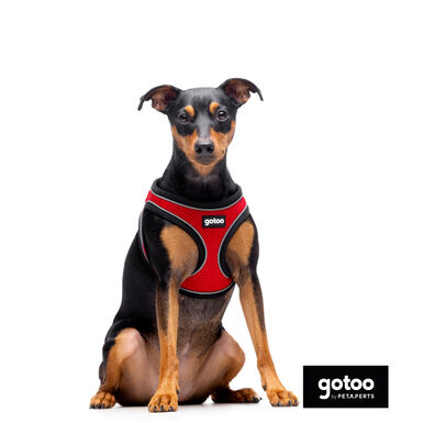 Gotoo Peitoral mesh vermelho refletor para cães