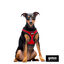 Gotoo Peitoral mesh vermelho refletor para cães, , large Indicador imagem número 3