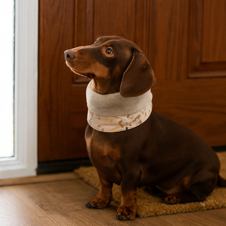 Outech Cachecol Leopardo para cães,  Imagem número 1 Outech Cachecol Leopardo para cães, , large Imagem número 1