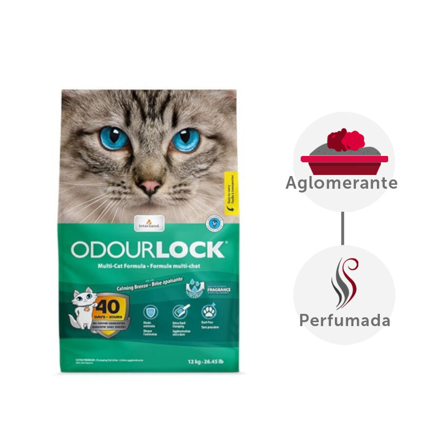 12 kg Intersand Odourlock Areia Aglomerante para gatos, , large Imagem n&uacute;mero 1