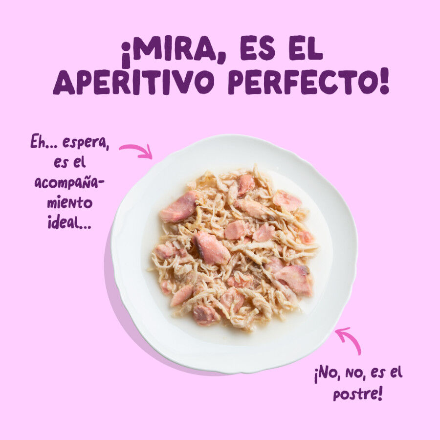 70 g Edgard & Cooper Filetes de Salm&oacute;n y Pollo Lata para gatos, , large Imagem n&uacute;mero 3