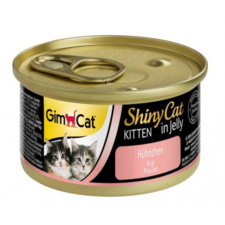 comida_humeda_gatos_gimcat_kitten_filete_atun_GIM40129_M Imagem número 1 GimCat Kitten filete de atún comida húmeda gatos Imagem número 1