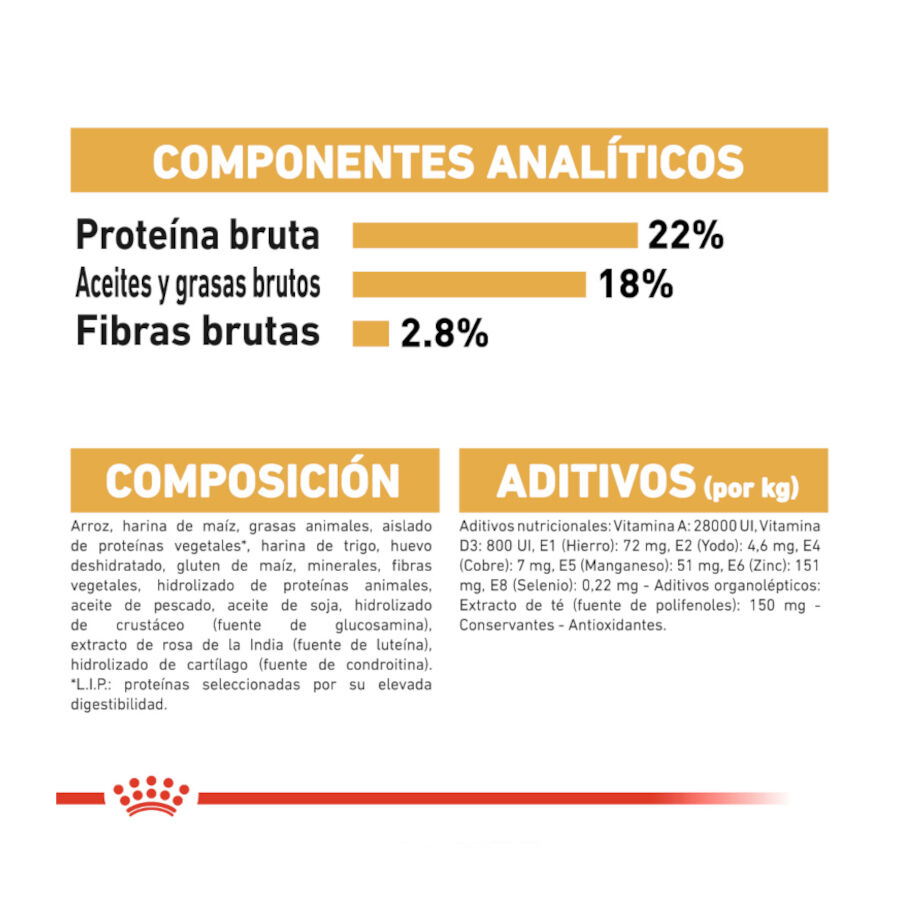 12 kg Royal Canin Adult D&aacute;lmata ra&ccedil;&atilde;o para c&atilde;es, , large Imagem n&uacute;mero 7