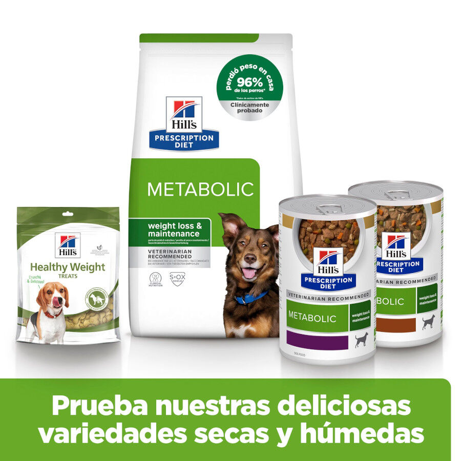 12 kg Hill's Prescription Diet Metabolic ra&ccedil;&atilde;o para c&atilde;es, , large Imagem n&uacute;mero 9