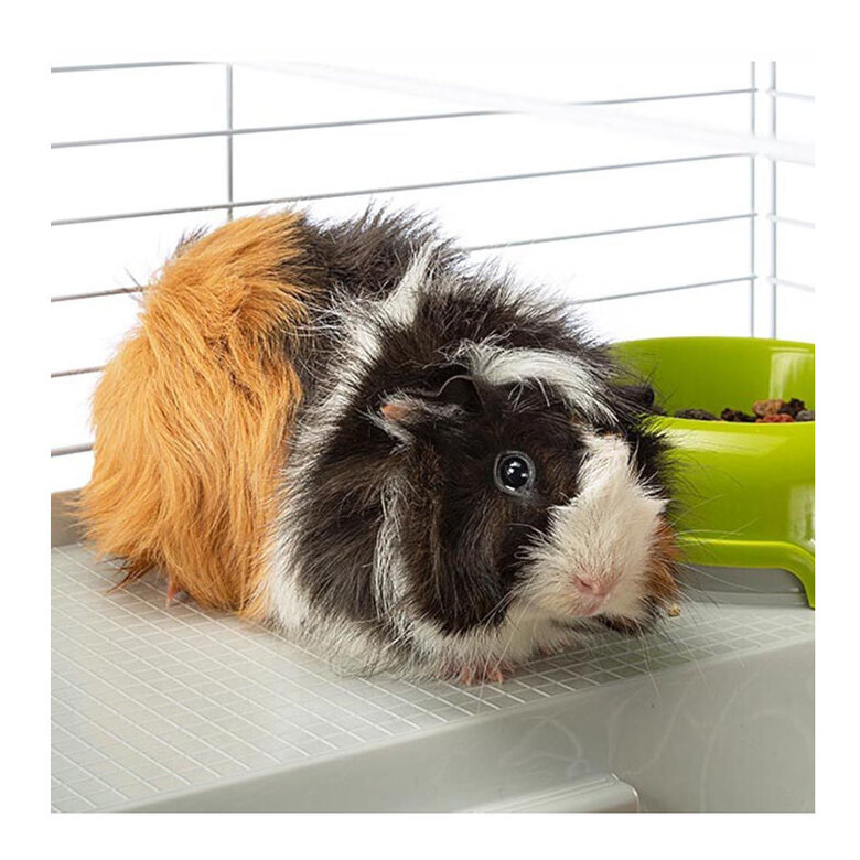 Ferplast Casita para coelhos e cobaias,  Imagem número 3 Ferplast Casita para coelhos e cobaias, , large Imagem número 3