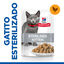 Hill's Science Plan Feline Sterilised Kitten Frango em Molho saqueta para gatos, , large Indicador imagem número 2