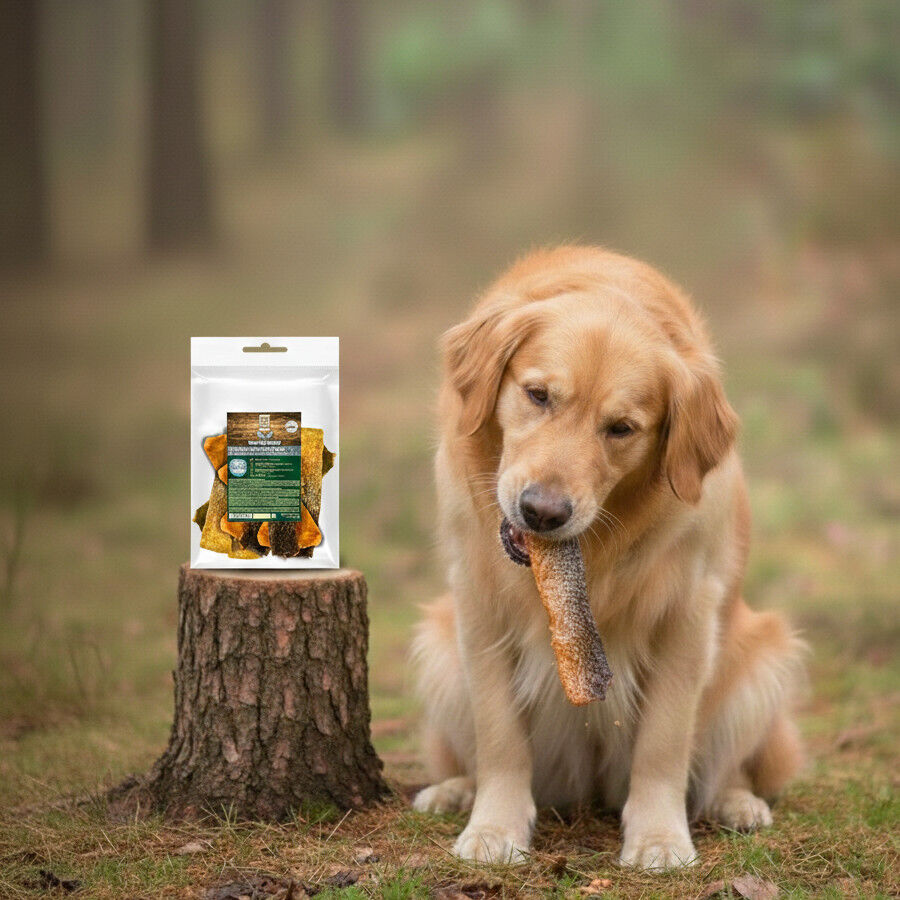 70 g. True Origins Piel de Salm&oacute;n con Carne Snack para perros, , large Imagem n&uacute;mero 1