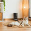 Cecotec Pumba 6000 Purrfect Meal Smart Vision Comedouro automático para cães e gatos, , large Indicador imagem número 8