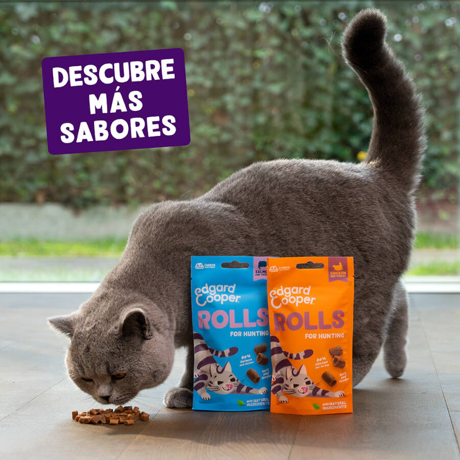 45 g Edgard & Cooper Snack de salm&atilde;o e frango para gatos   , , large Imagem n&uacute;mero 6