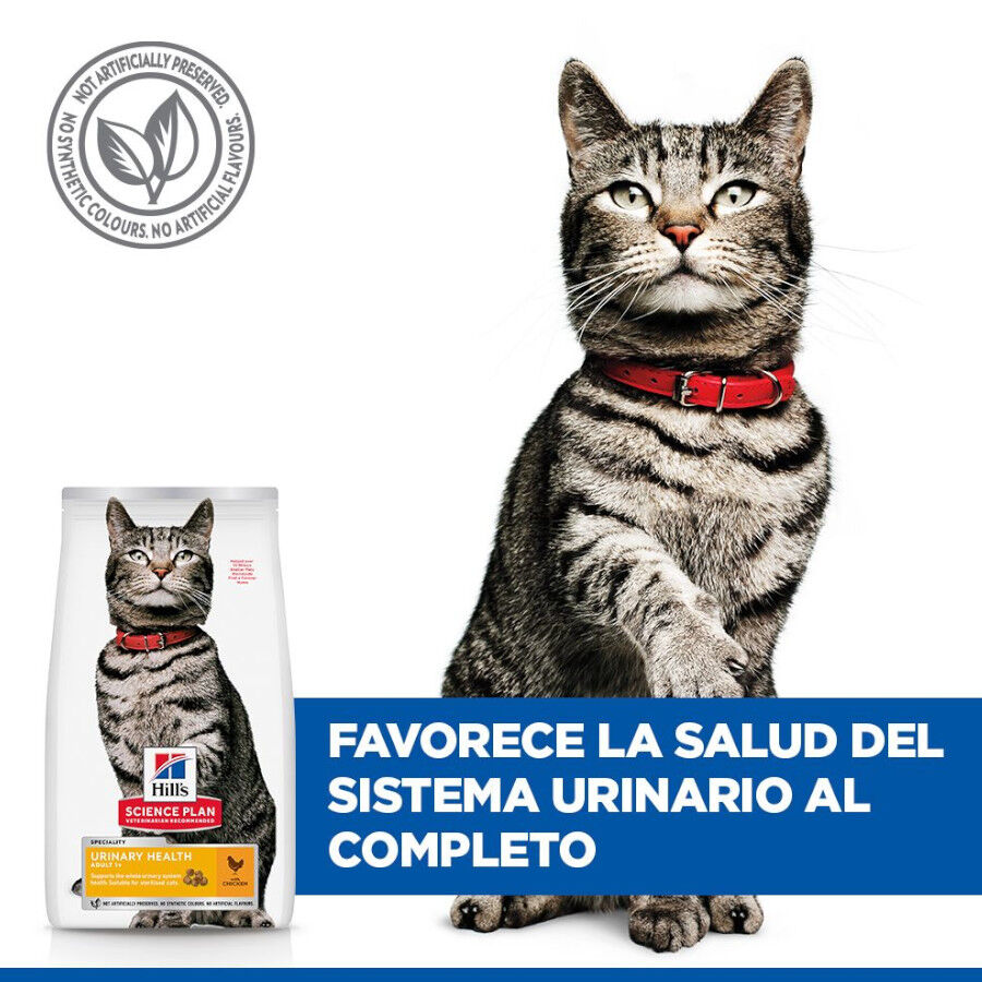 1.5 kg Hill's Urinary Frango ra&ccedil;&atilde;o para gatos , , large Imagem n&uacute;mero 6