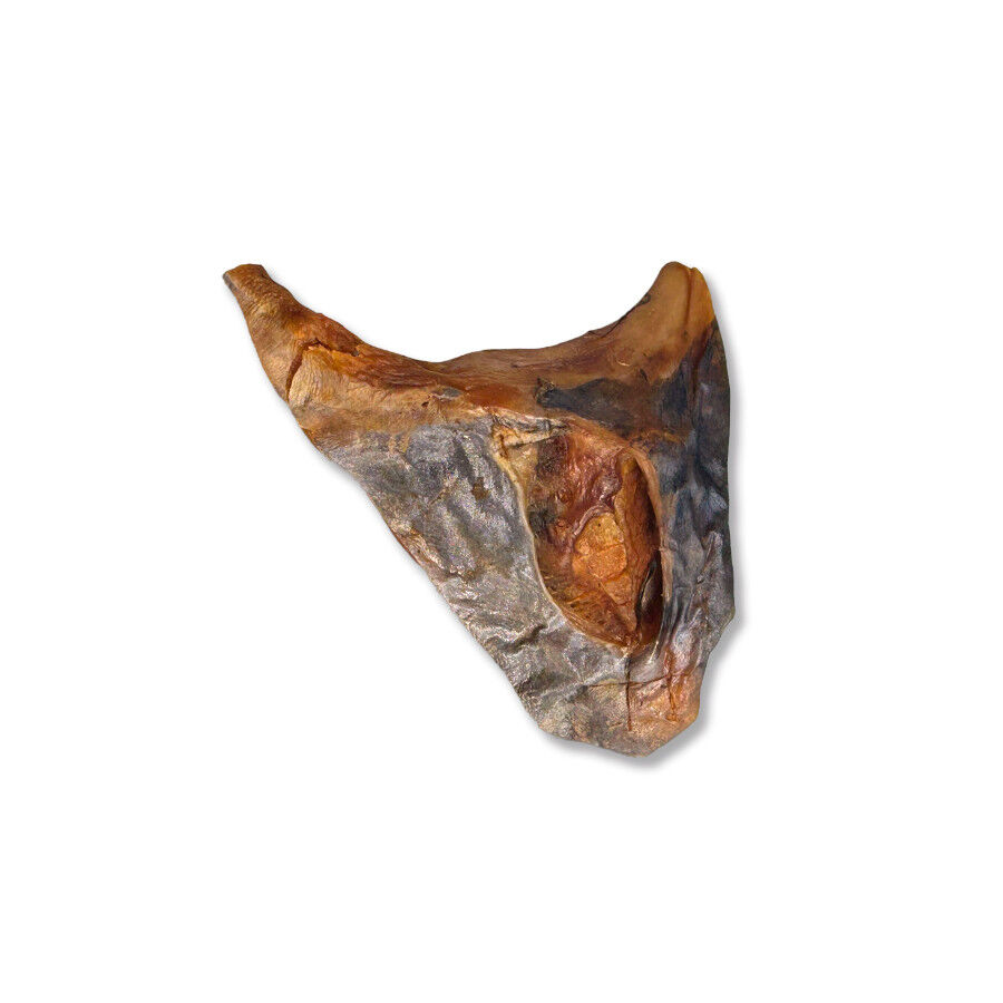 70 g. True Origins Collar Pez Espada Snack para perros, , large Imagem n&uacute;mero 3