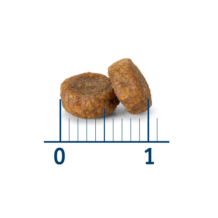 2 x 4 kg Nath Kitten Frango e Arroz ra&ccedil;&atilde;o para gatos  Pack poupan&ccedil;a!, , large Imagem n&uacute;mero 3