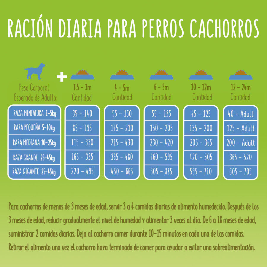 Friskies Junior frango e legumes ra&ccedil;&atilde;o cachorros, , large Imagem n&uacute;mero 6