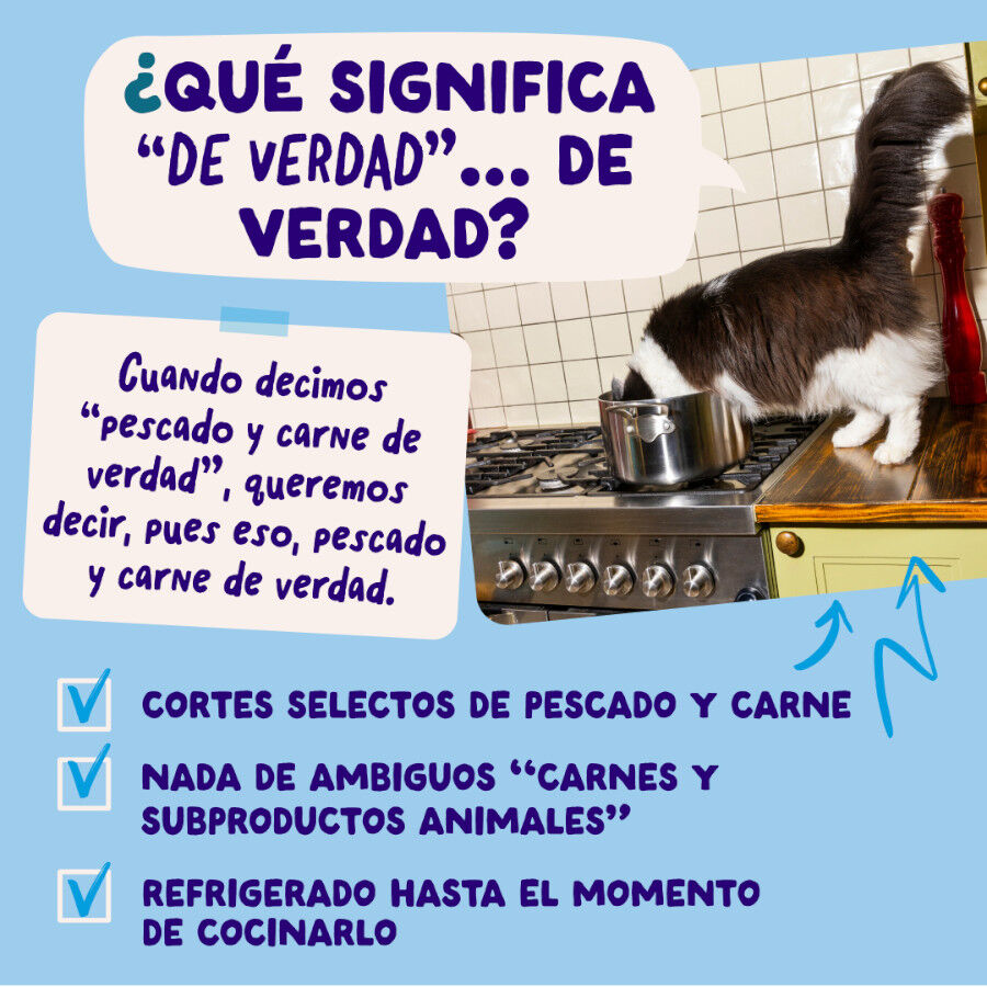 12 x 85 g Edgard & Cooper Catch of the day em molho em saquetas para gatos, , large Imagem n&uacute;mero 5