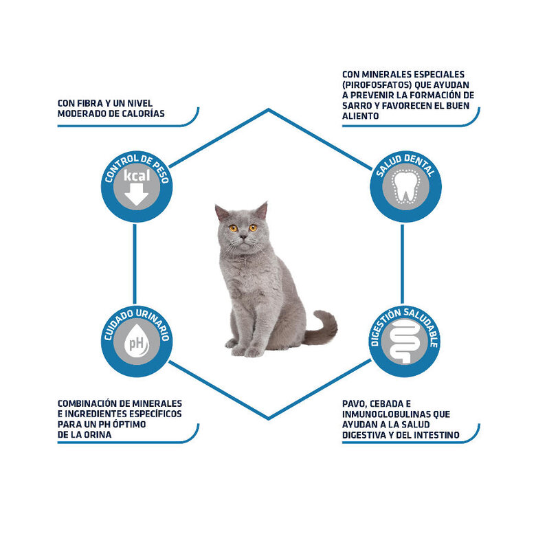 Advance Adult Sterilized Peru e Cevada ração para gatos, , large image number null